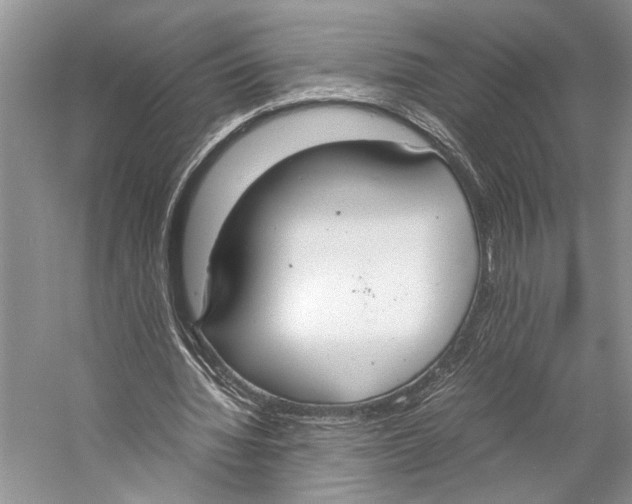 X0000057040436200510071409