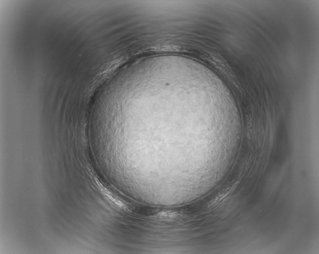 X0000057040441200510071410