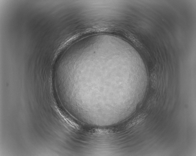 X0000057040442200510071410