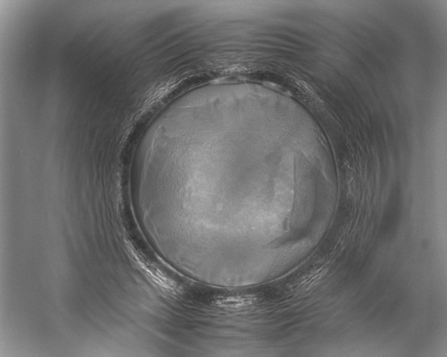 X0000057040447200510071410