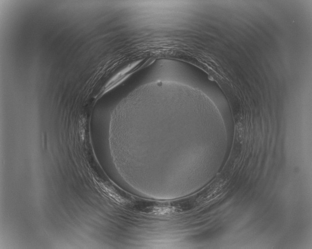 X0000057040458200510071410