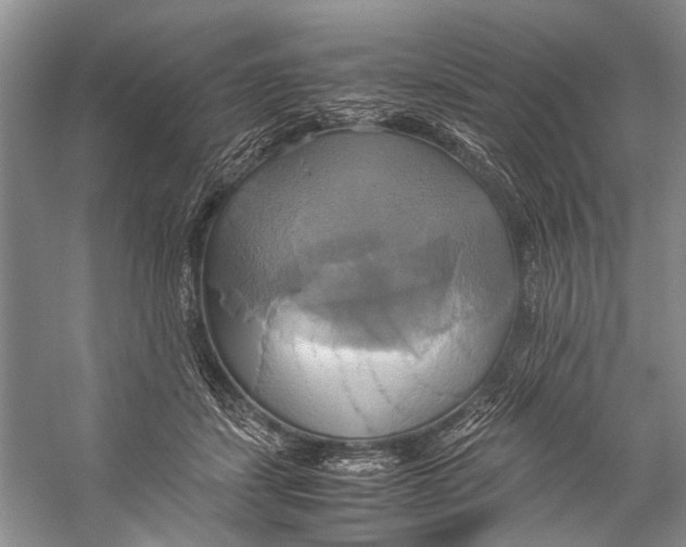 X0000057040459200510071410