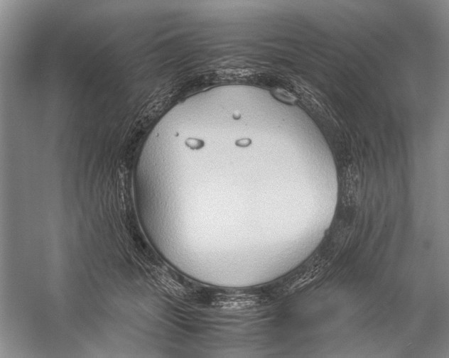 X0000057040463200510071410
