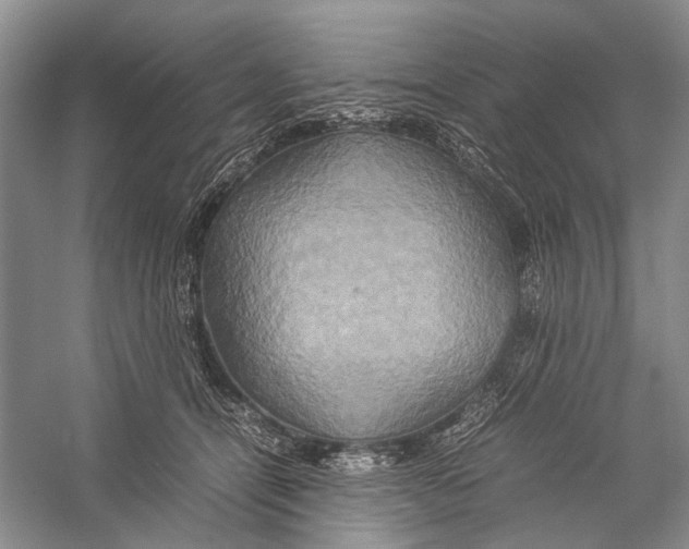 X0000057040464200510071410