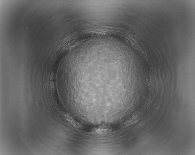 X0000057040466200510071410