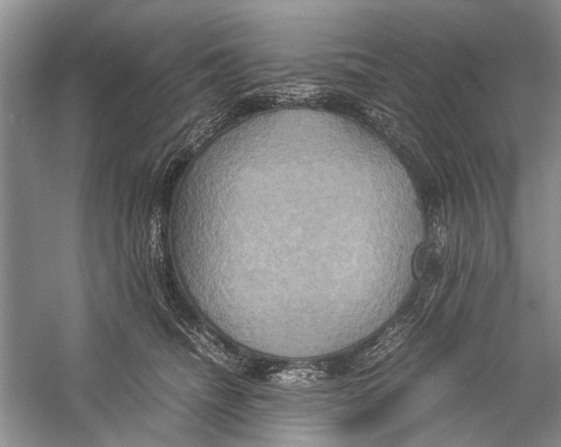 X0000057040468200510071410