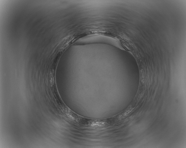 X0000057040471200510071410