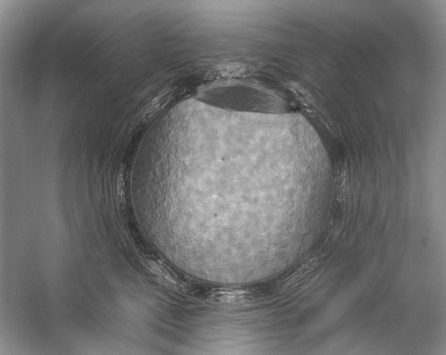 X0000057040472200510071410