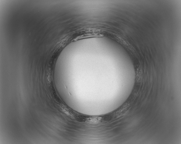X0000057040474200510071410