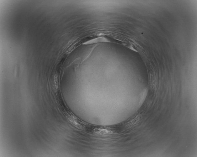 X0000057040475200510071410