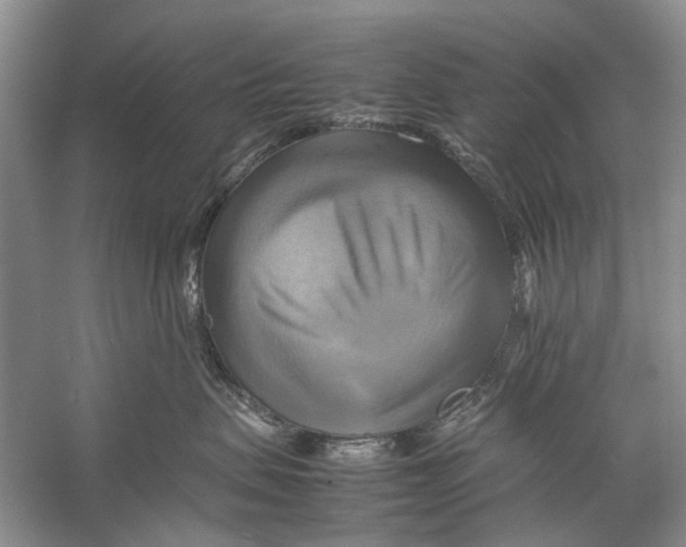 X0000057040479200510071410