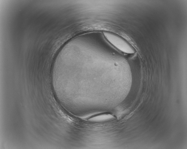 X0000057040481200510071409
