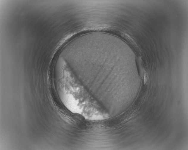 X0000057040483200510071409