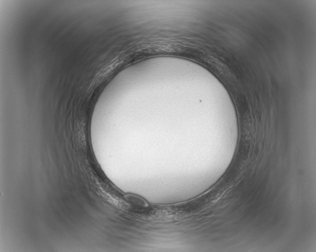 X0000057040489200510071409