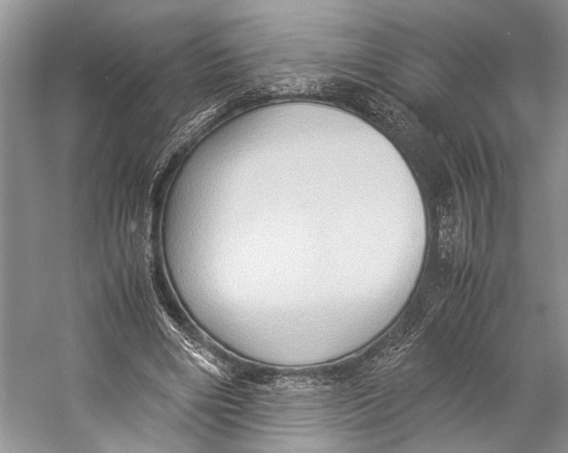X0000057040490200510071409