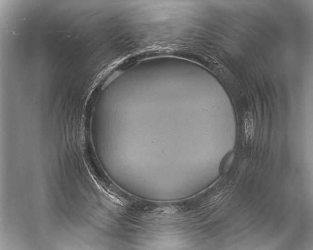 X0000057040492200510071409