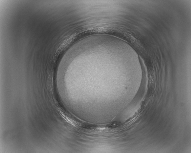 X0000057040493200510071409