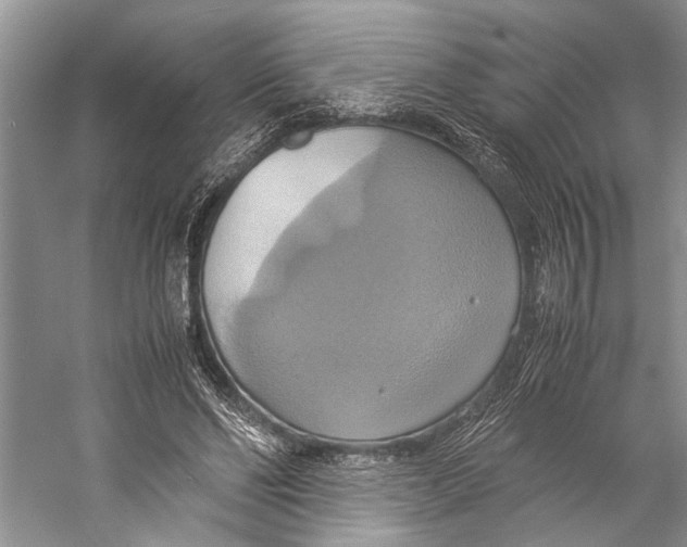 X0000057040494200510071409