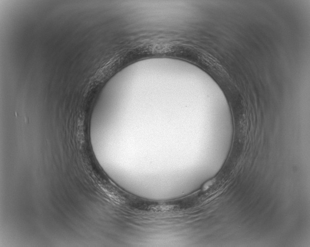 X0000057040497200510071409