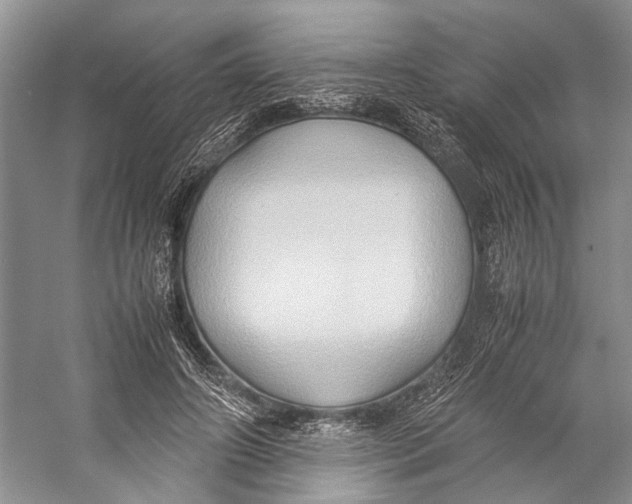X0000057040498200510071409