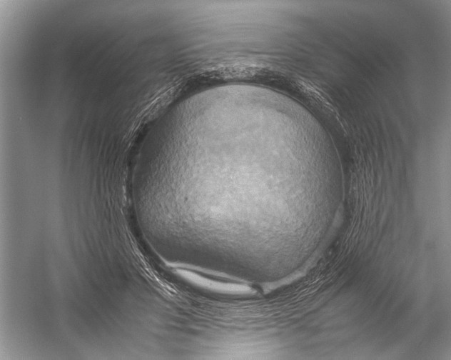 X0000057040501200510071409