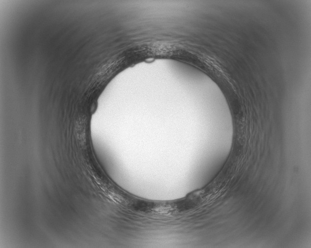 X0000057040505200510071409