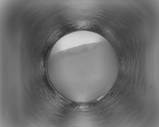 X0000057040506200510071409