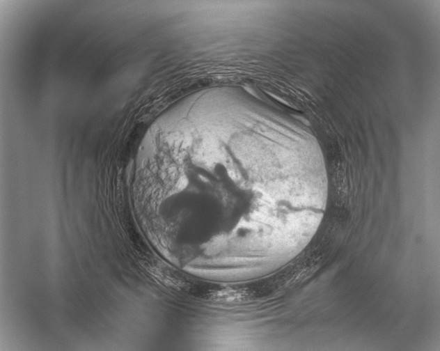 X0000057040511200510071409