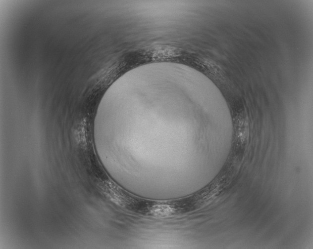 X0000057040519200510071409
