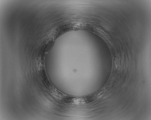 X0000057040520200510071409