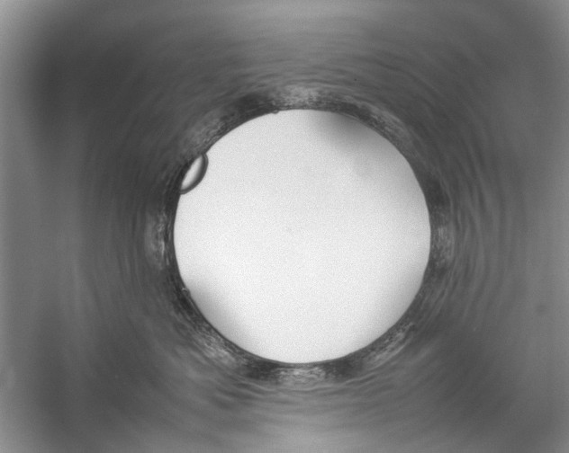 X0000057040525200510071409