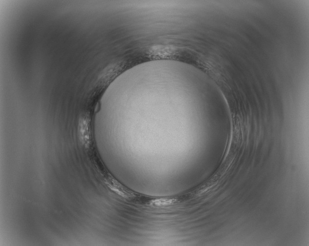 X0000057040526200510071409