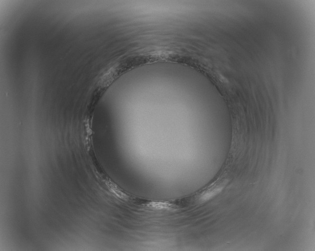 X0000057040528200510071409