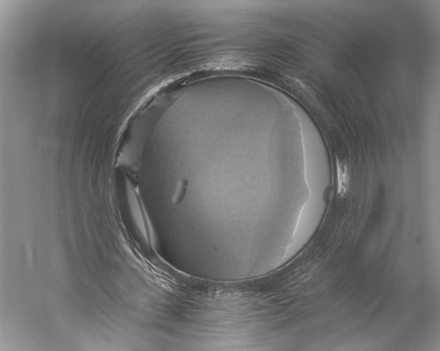 X0000057040531200510071408