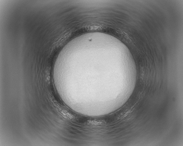 X0000057040545200510071408