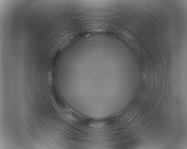 X0000057040551200510071408
