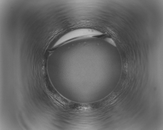 X0000057040552200510071408
