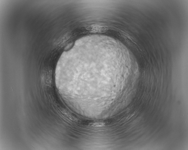 X0000057040554200510071408