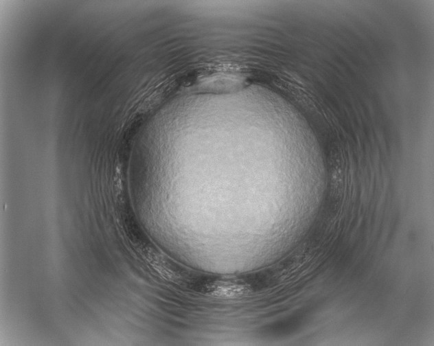 X0000057040555200510071408