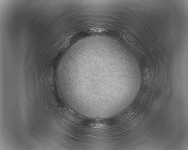 X0000057040559200510071408