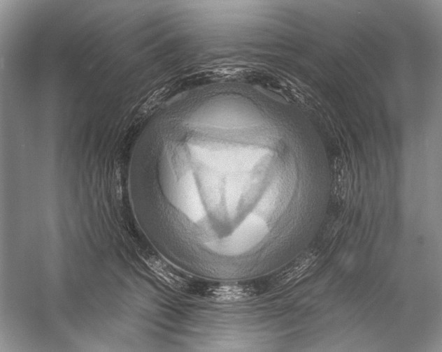 X0000057040562200510071408