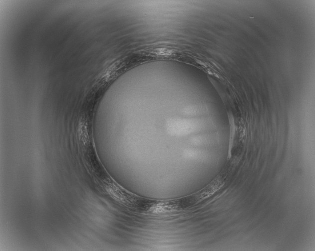 X0000057040568200510071408