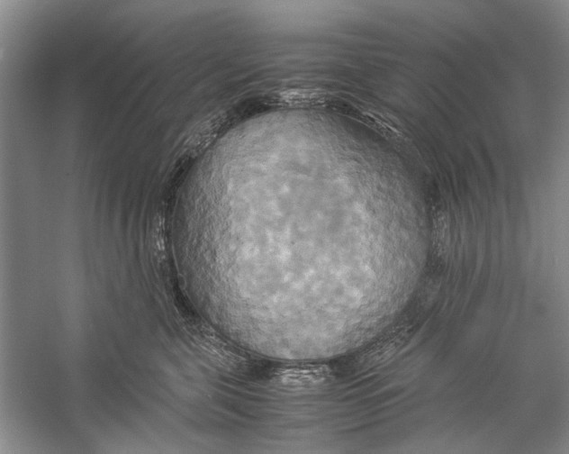 X0000057040571200510071408