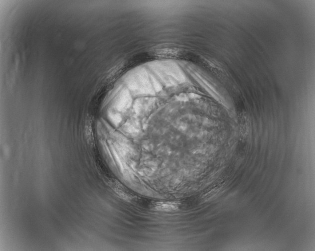 X0000057040573200510071409