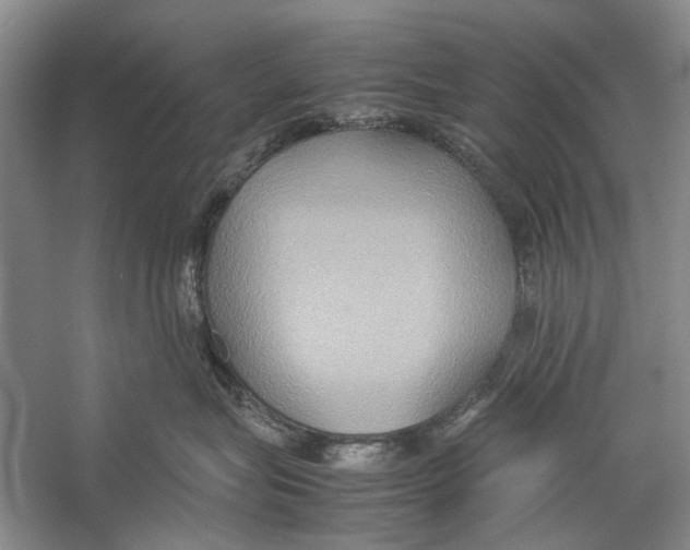 X0000057040575200510071409