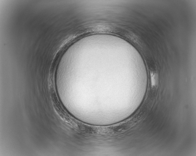 X0000057040579200510071408