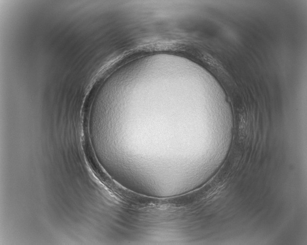 X0000057040582200510071408