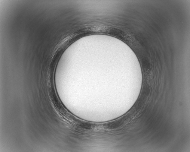 X0000057040587200510071408