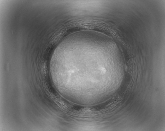 X0000057040597200510071407