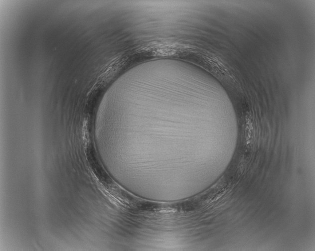 X0000057040598200510071407